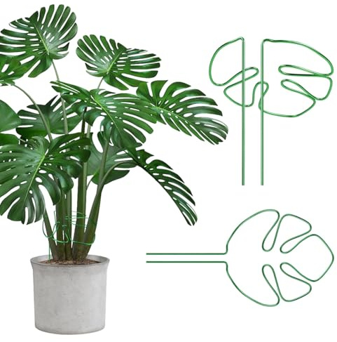 GIUSOBG Soporte Para Plantas 2Piezas Soporte Para Plantas de Interior 15*28cm Tutor Monstera, Tutores para Pinzas Para Alocasia y Monstera (Verde)