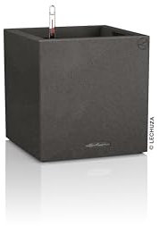 Lechuza Canto Stone Cube 40 Kit Complet, Plastique, Noir Graphite, 40 x 40 x 40 cm