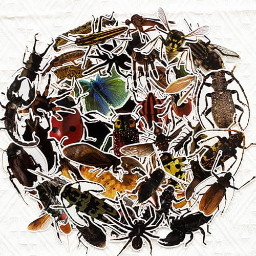 Mistree 50 Aufkleber Insekten, Sticker Kinder Insekten 4-6 CM