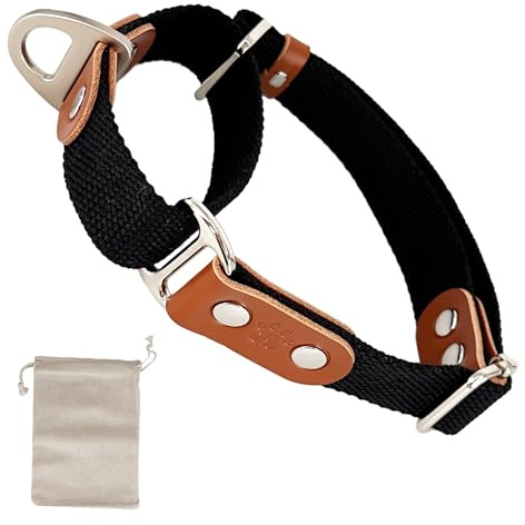 Martingalhalsband Hundewürgehalsband, Anti-Zug, Poly-Baumwolle und Leder. M. Schwarz & Cognac