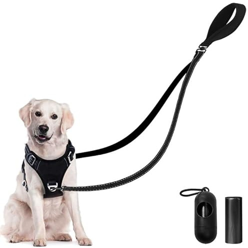 GOEDCH Laisse double de 12 m pour 2 chiens : double laisse réfléchissante avec sac poubelle, pas d'enchevêtrement, laisse robuste en nylon pour chien, double laisse pour chien à coupler pour chiens de