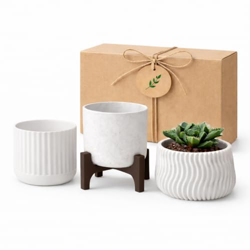 Juego de 3 mini macetas con soporte extraíble – Maceta de cerámica blanca para suculentas, diseño minimalista moderno, caja de regalo incluida