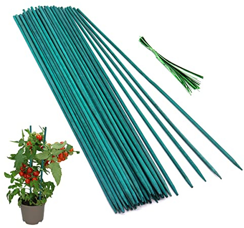 GAGINANG Green Bamboo Plant Stakes, 50 Pcs 18 Inches Floral Support Sticks