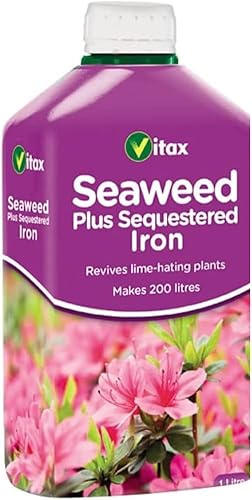 Seaweed Plus Sequestered Iron Liquid, Multipurpose Liquid Fertiliser, Helps Healthy Foliage & Intense Flower Colour (1L)