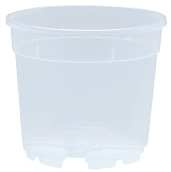 Geosism & Nature Vase Transparent pour orchidées 14x12,5 cm (10 pièces), Compagnie Arca