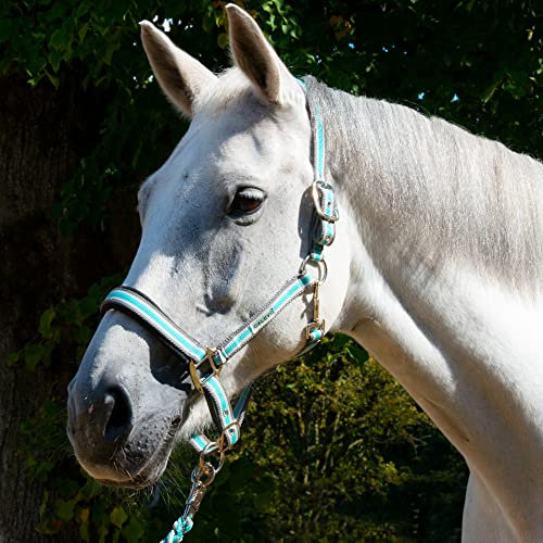 CALEVO - Stallhalfter Stripes