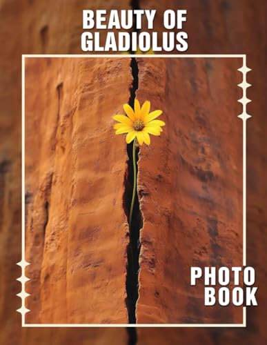 Beauty Of Gladiolus: Stunning Floral Images Showcasing 40 Unique Dahlia Varieties for Garden Enthusiasts