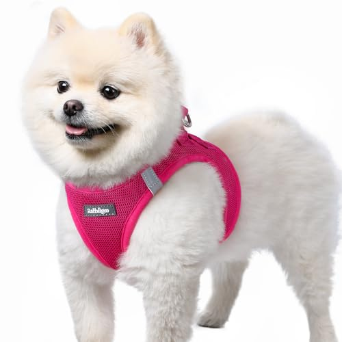 rabbitgoo Harnais Chien Petite Taille Rose Rouge S, Harnais Chiot Respirante en Maille Souple, Arnet pour Chien Réfléchissant Facile à Mettre, Gilet Réglable pour Petits et Moyens Chiens pour Marche