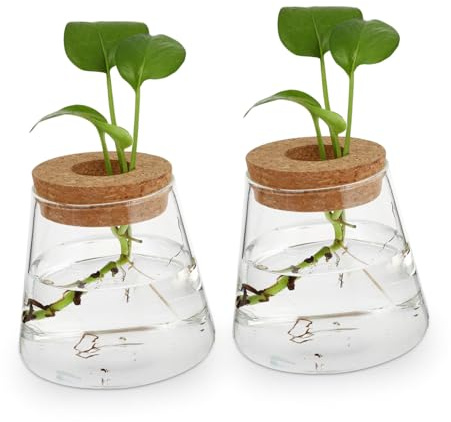HIAKDOFT 2 Pezzi Vaso Idroponico in Vetro Piante Decorazione Casa e Ufficio Design Semplice ed per e Ristoranti