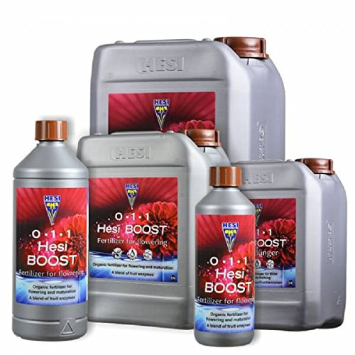 Hesi Boost