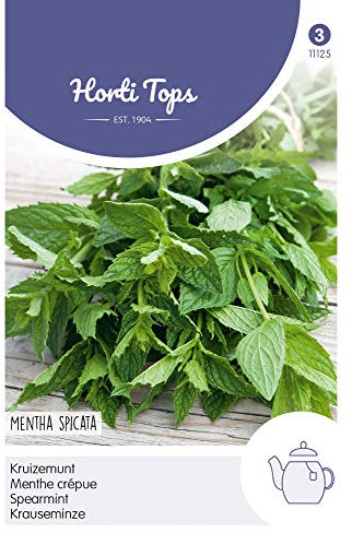 Hortitops 11125 Krauseminze (Minzesamen)