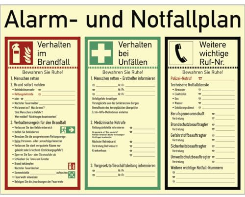 Dreifke® Schild Alarm- und Notfallplan ISO 7010, Kunststoff, nachleuchtend, 50-mcd, 620x480 mm