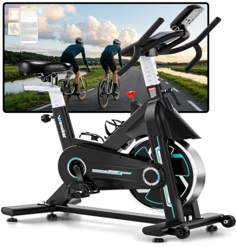 WENOKER Vélo d’Appartement Connecté avec App, Vélo d’Intérieur Silencieux 160 kg Hellblau