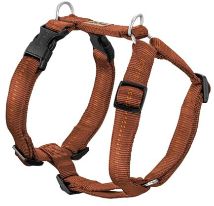 Koch Premium Geschirr Kupfer L 25mm Gurtbreite, Immer Voll gepolstert, Hundegeschirr 5-Fach verstellbar, verstellbar auch am Bauch. Mit Kennfäden