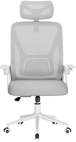 naspaluro Ergonomic Office Chair for Desk with Flip-up Armrests/Lumbar Support/Adjustable Headrest/Metal Claw, Comfy Swivel Heavy Duty Computer Study Chairs, Mesh Gray Work PC Chair For Home Office