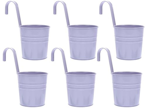 Cabilock 6Er Set Blumentöpfe Zum Aufhängen Aus Metall Mit Abnehmbarem Haken Für Balkon Garten Zaun Und Wand Hängender Blumentopf Mit Ablaufloch 10X10X8Cm