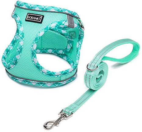 DORAMIO Hundegeschirr Kleine Hunde mit Leine, Step-in Geschirr Reflektierend Atmungsaktiv Brustgeschirr Anti Zug Sicherheitsgeschirr Katzengeschirr für Kleine Hunde, Katzen (Hellgrün, XS)