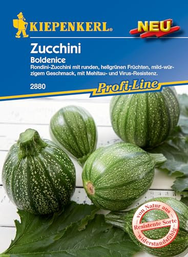 Kiepenkerl Profi-Line Zucchinisamen Boldenice, F1 - Hochwertige Gemüsesamen, Resistente & Schnellreifende F1-Hybride, Rondini-Zucchini mit Mehltau-Resistenz, für Profi-Line Gemüsegarten