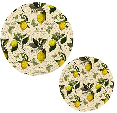 Vintage Botanical Lemon Topflappen Set Untersetzer Matte Baumwolle Topflappen Set von 2 Stylish Coasters Hot Pads Hot Mats for Kitchen Counter Home Decor