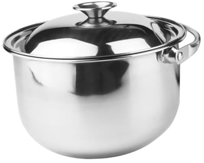 PRETYZOOM Marmite en Acier Inoxydable 20 CM avec Couvercle Multifonctionnelle pour Mijoter Casserole à Soupe Pratique pour Maison et Restaurant Ustensile Cuisine Résistant à Haute