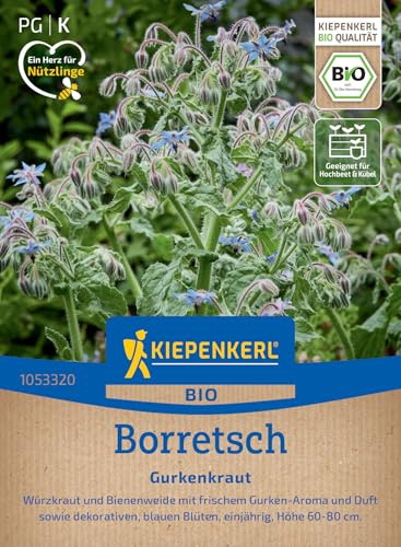 Kiepenkerl Borretschsamen Gurkenkraut 1053320, Kräutersaat | Einfache Anzucht, Borretschkräuter für Salate & Getränke, Kräutersamen Bio für 50 Pflanzen, aromatisch