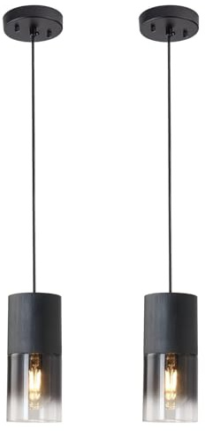 jengush Modern Style Battery Operated Pendant Light Set of 2,Black Battery Ceiling Light fixtures with Rechargeable 8000mAh Bulbs 10 Colors Modes Remote Dimmable for Bedroom Living Room Hallway