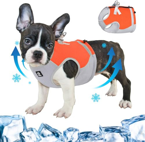 FEimaX Kühlweste für Hunde, Hund Kühlweste Geschirr für Kleine Mittlere Hunde Atmungsaktive Verstellbare Kühljacke Haustier Kühlmantel Reflektierende Sommer HundeKühlweste