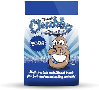 Chubby Larve essiccate, tenebrione mugnaio e bombice del gelso