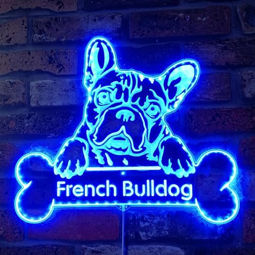 ADVPRO Name, personalisierbar, französische Bulldogge, RGB, dynamisch, glamourös, LED-Schild, Schnittform, intelligente 3D-Dekoration, mehrfarbige Beschilderung, st06s66-fnd-p0070-tm