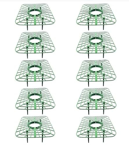 Daaxing 5/10/20 soportes para fresas, soporte para plantas con 4 pies de apoyo resistentes, para protección de frutas, accesorios de jardín que ahorran espacio (10 unidades)