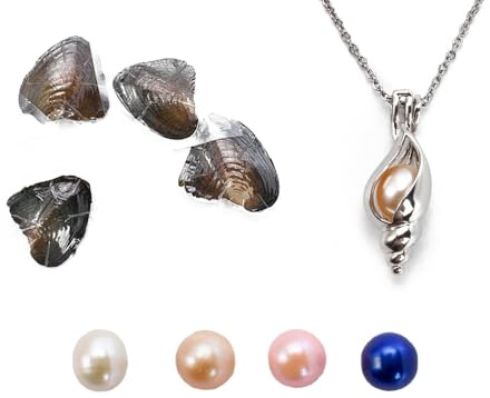 kiss me - Ostras naturales con perla en el interior, kit de collar de perlas de ostra con cierre, collar de plata con colgante de jaula de 45,8 cm, decoración de aniversario para regalos de joyería, 7