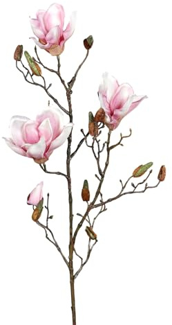 Seidenblumen Roß Magnolienzweig DP Kunstblumen künstliche Magnolie Blumen (Rosa-Creme, 85cm)