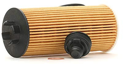 RIDEX 7O0179 Ölfilter Kompatibel mit BMW X1 F48 Filtereinsatz mit Dichtungen