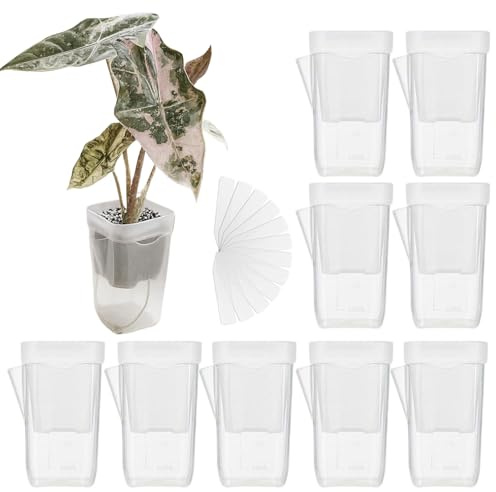 Genérico Maceta Autorriego - 10 Unidades Mini con Agujeros de Drenaje y Depósito - Macetas Transparentes con Depósito,para Esquejes Semilleros Violetas Africanas y Jardín Exterior