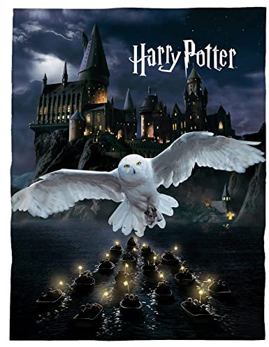 kuschelige Harry Potter Flauschdecke Fleecedecke 150 x 200 cm · große Decke Tagesdecke Kuscheldecke mit Hogwarts und Eule (schwarz)