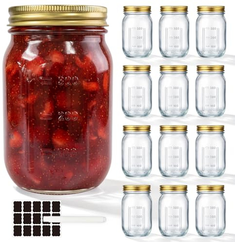 WERTIOO 12 Stück 480ml Einmachgläser - Mason Jar Gläser mit Skala