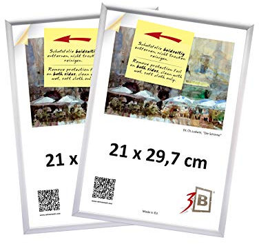 3-B Set di 2 Pieces Cornici Alu Foto 21x29,7 cm (A4) - Argento Opaco - Telaio in Alluminio, Cornice Foto