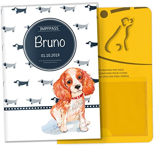 Impfpass Hülle Taksa Tierausweis Schutzhülle schöne Geschenkidee personalisierbar mit Namen und Geburtsdatum (Cavalier King Charles Spaniel, Impfpasshülle personalisiert)