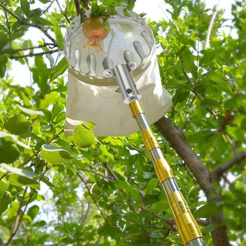 Obstpflücker mit teleskopstange 2-7M Kirschenpflücker Pflaumenpflücker Obstpflückstange für Früchte von Hochgelegenen Orten Pflücken | B,2m(6.6ft)