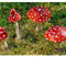 Fliegenpilz Garten Deko aus Kunstharz 2er Set