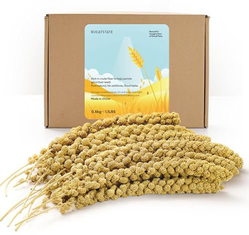 BUCATSTATE Spray Millet for Birds, Sun-Dried Healthy Millet Parakeet Treats for Parrots Cockatiel Lovebird Finch, GMO-Free Parakeet Food - 1.1lb