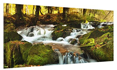 micasia Glas Spritzschutz inkl. Aufhängung 4 mm starke Küchenrückwand Wald Glasrückwand - Made in Germany - Modern Wasserfall Wandpaneel grün Küche Herd Küchenspiegel 1302 (80x40cm)