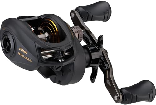 PENN Squall low Profile Baitcast-Angelrolle