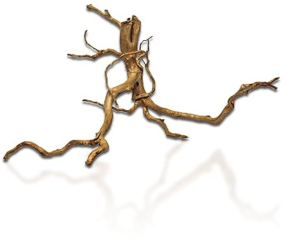 AquaOne Azalea Wood and Root Aquarium Decorations-Root 50-60cm