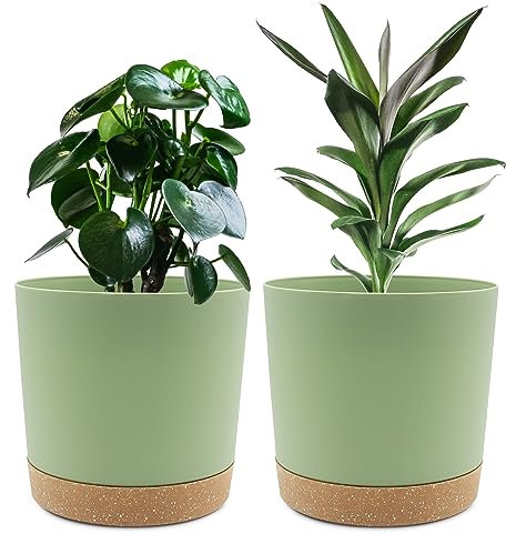 QCQHDU 20cm Plant Pot, 2 Pack Planters for Indoor Plants with Drainage Holes & Saucer, Outdoor Flower Pots Home Garden Modern Decor (Green, 20cm)