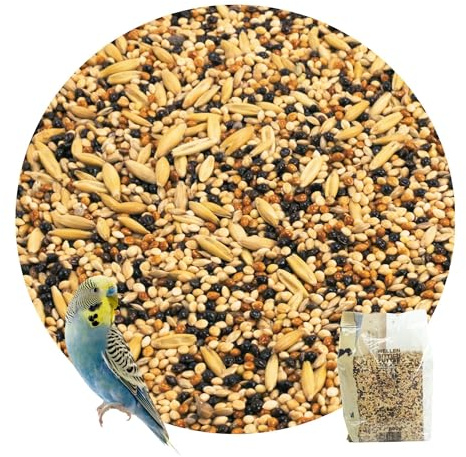 R&M Wellensittich - Futter 0.8 kg | Vogelfutter, Sittichfutter, Premium Mischung