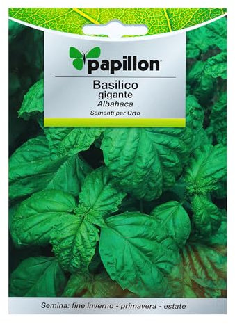 Semi aromatici di basilico gigante (5 grammi) 08093710