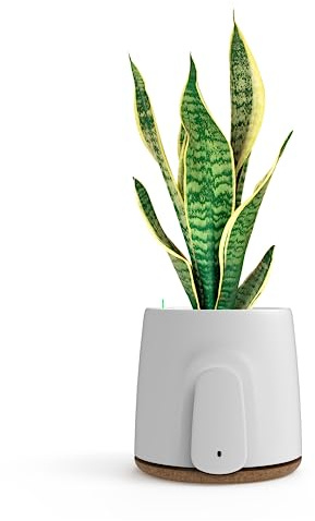 VITESY NATEDE BASIC Purificatore Aria Senza Filtri Da Cambiare | -99% di Batteri, Microbi, Muffa, COV e Virus | Cattura Odori Ambiente | Sostenibile e MADE IN ITALY|Pianta Non Inclusa