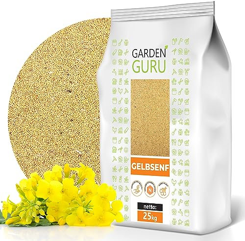GELBSENF 25 kg Saatgut Senf gelb Senfsaat TOP Gründünger Bienenweide Pollen