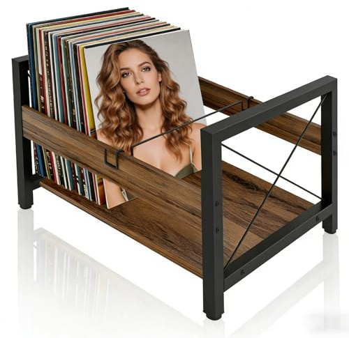 CASDUCT Schallplattenständer,Schallplatten Aufbewahrung Vinyl Schallplattenständer,44 * 37 * 26.8cm,mit Rutschfeste Trennklemme,Organisator für CD, Alben, Zeitschriften, Buch